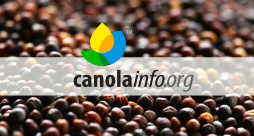 Video destacado de canola